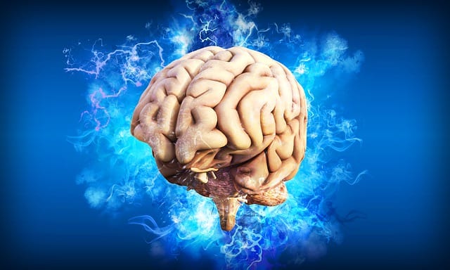 alpha brain waves